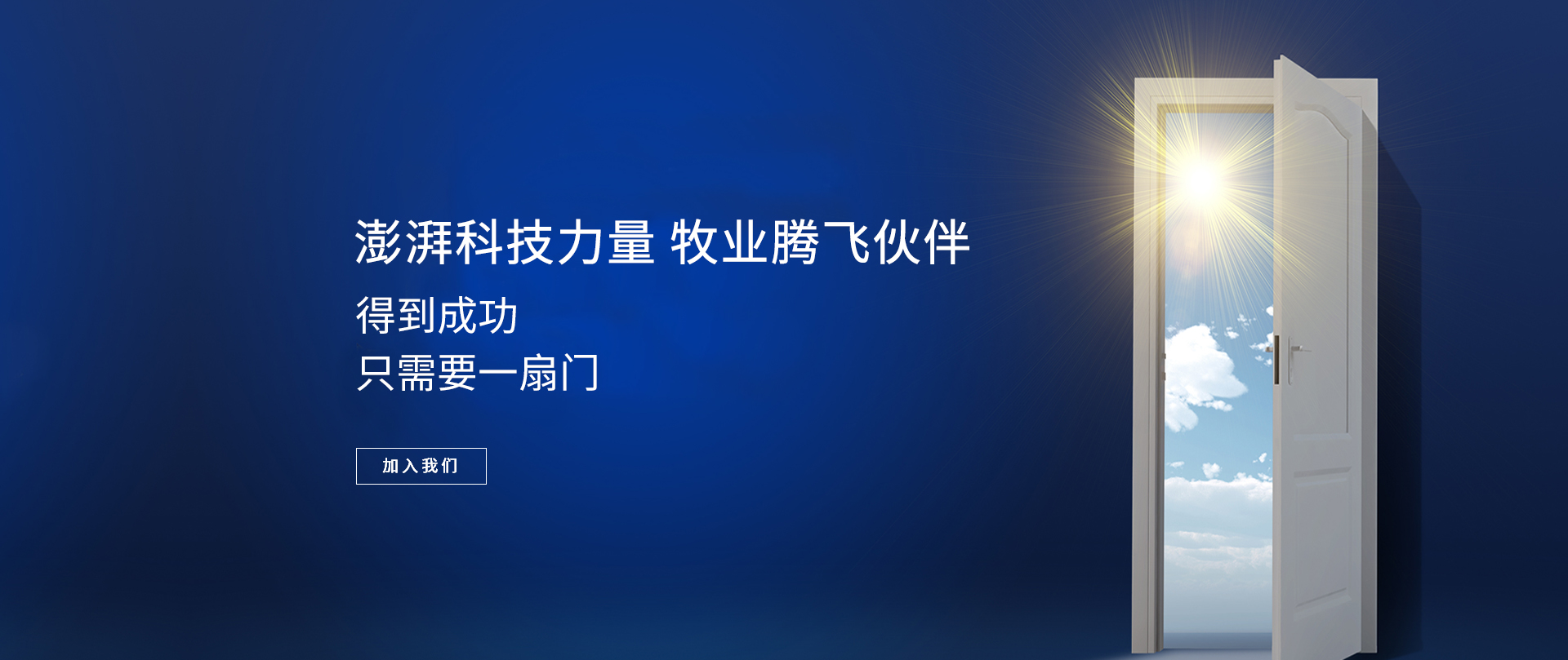 首页banner