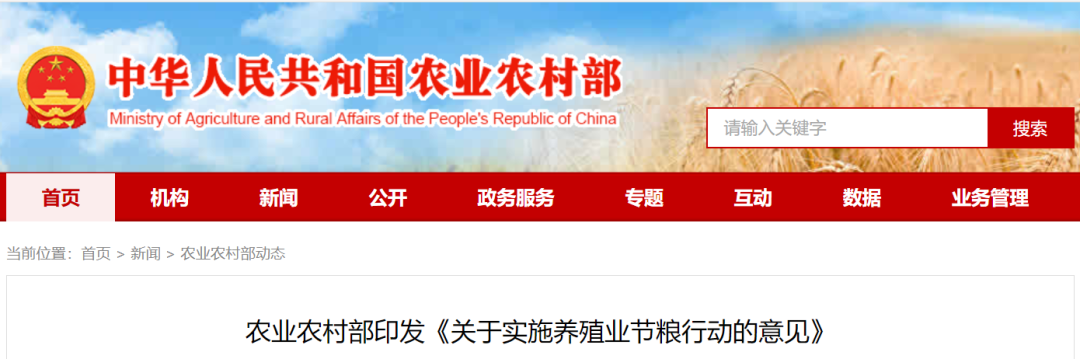 1736213294370030.png 640.png