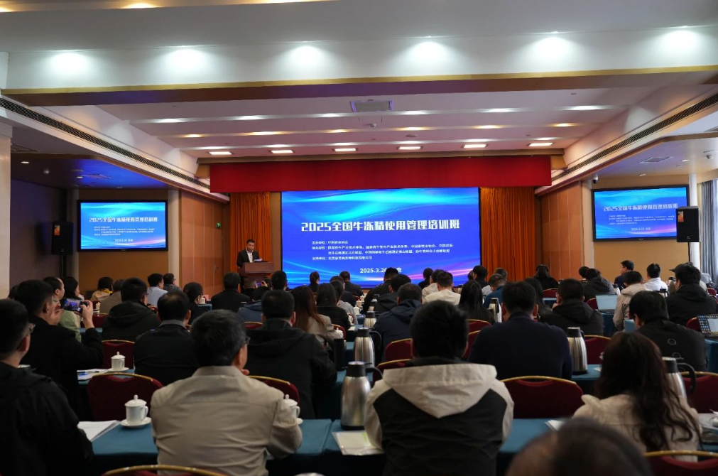 1743471637106632.png image.png