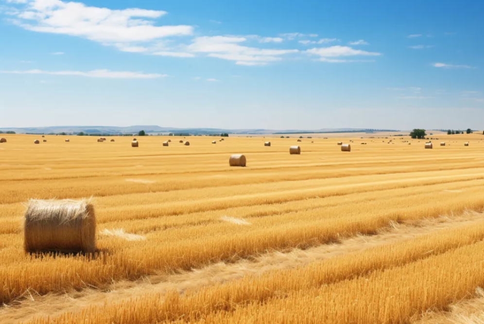 1758590955693241.png image.png