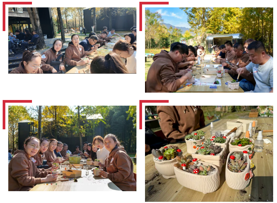 1764042507901601.png image.png